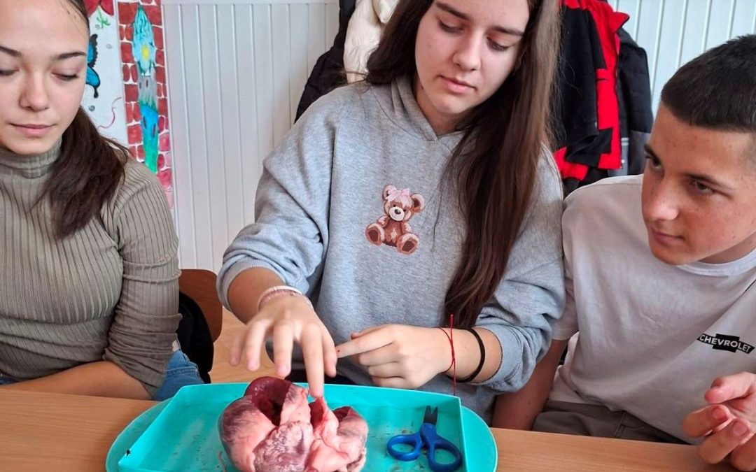 Практична настава биологије: Деветаци истраживали рад срца